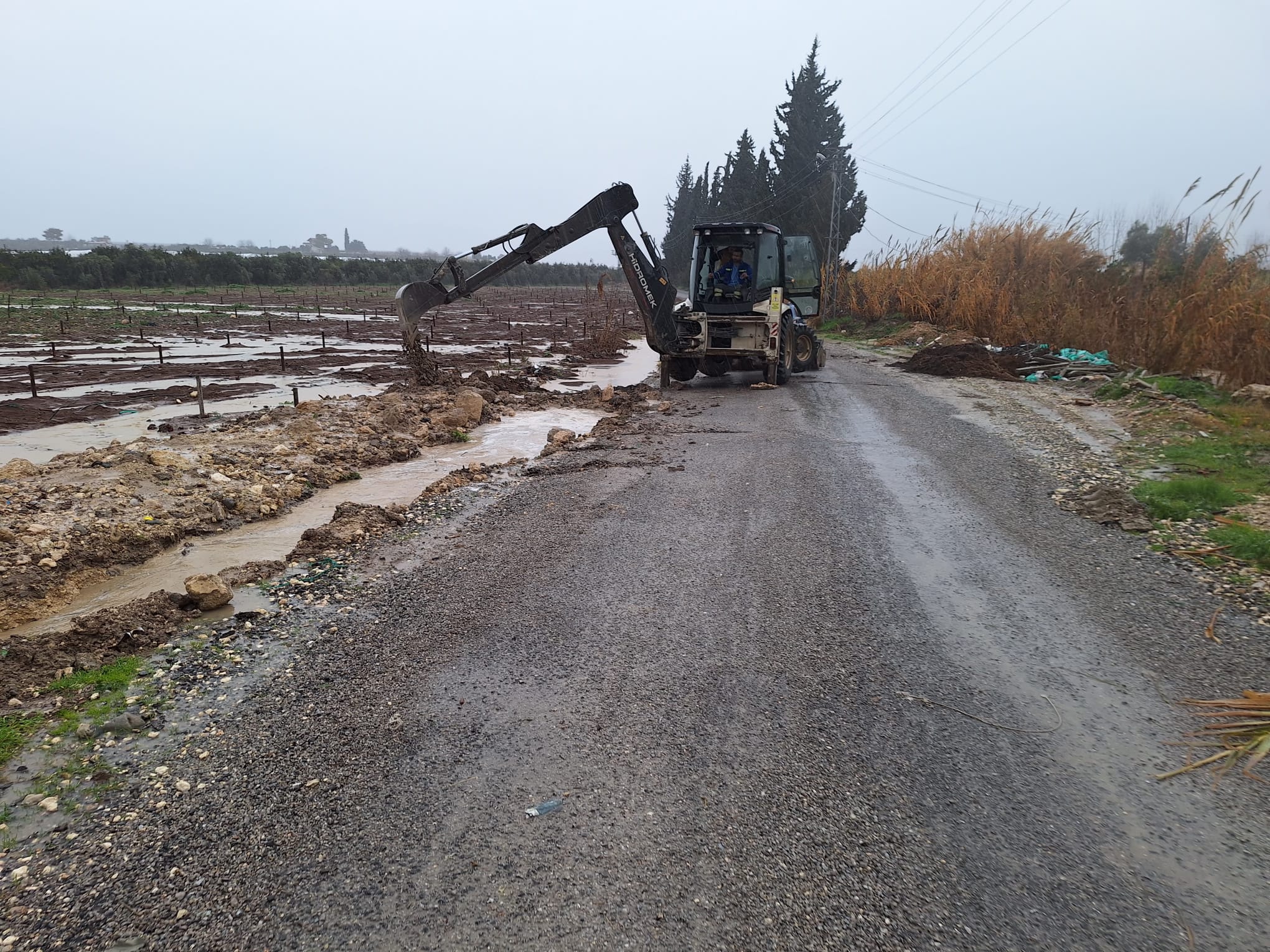 624154309 122172390752775113 489593635182170466 N