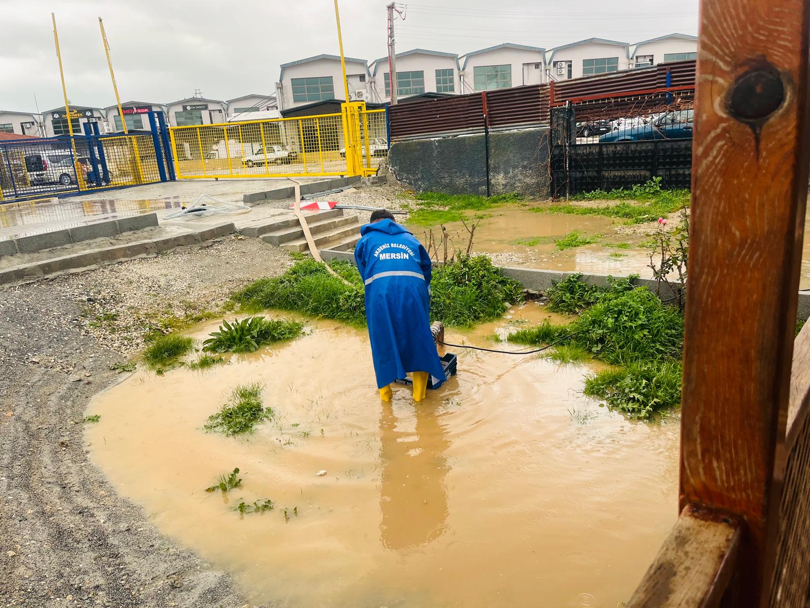 624332624 122172390680775113 6327787910910004172 N