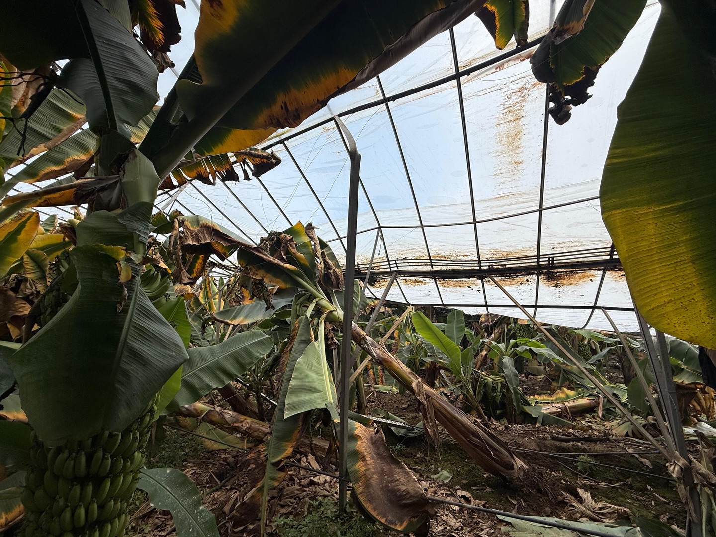 624662644 18394500781195021 8028304375620519740 N