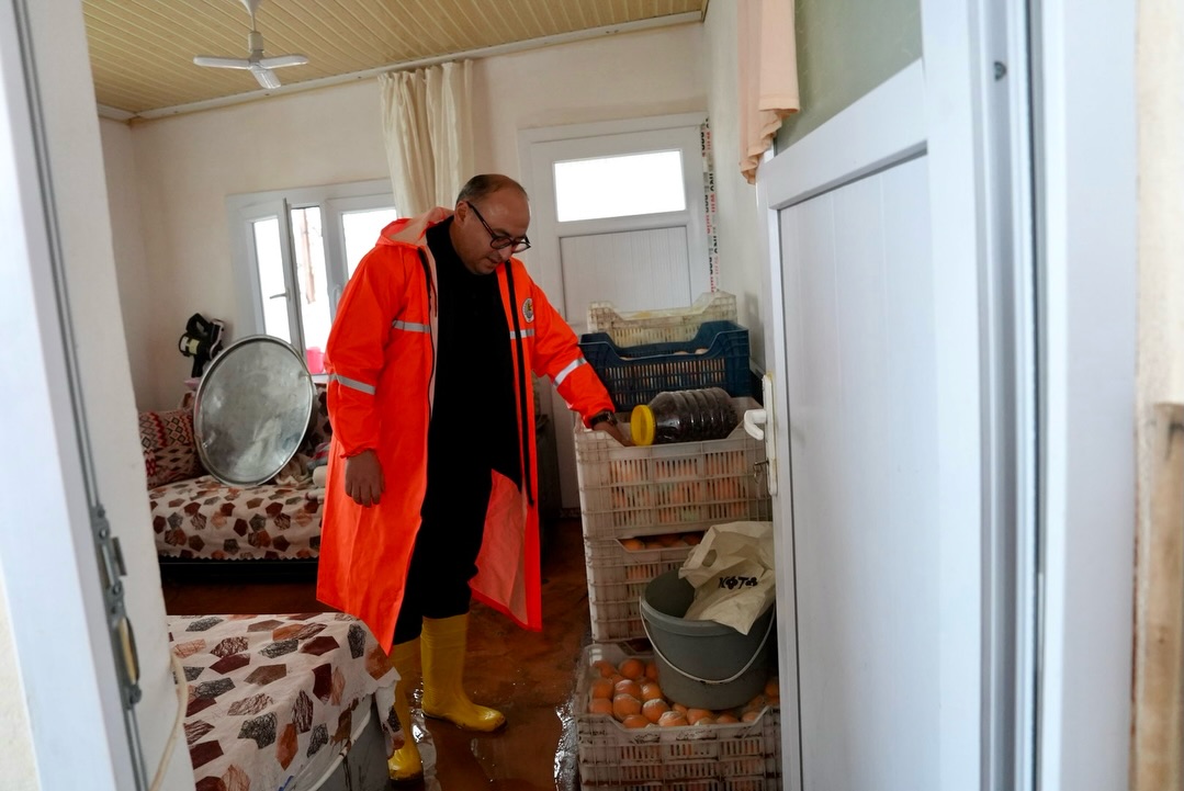 626486586 17938446789136662 3018343751725150379 N