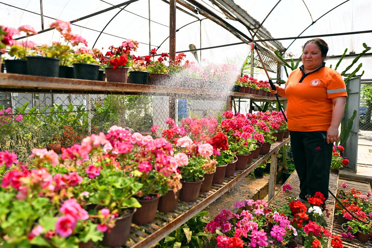 Büyükşehi̇r Beledi̇yesi̇ 2025 Yilinda Da Kenti̇n Yeşi̇l Yüzünü Geni̇şletti̇ (3)