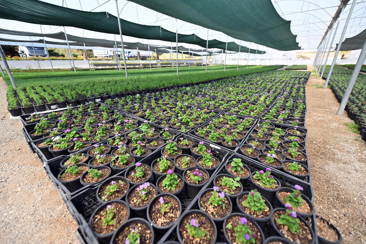 Büyükşehi̇r Beledi̇yesi̇ 2025 Yilinda Da Kenti̇n Yeşi̇l Yüzünü Geni̇şletti̇ (4)