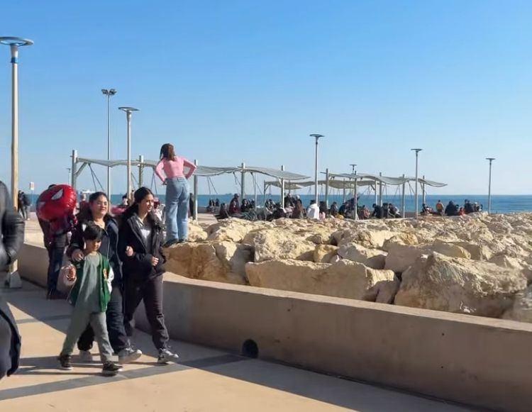 Cc9Bd33E F6F4 4Efe Bc46 52E3398B9255