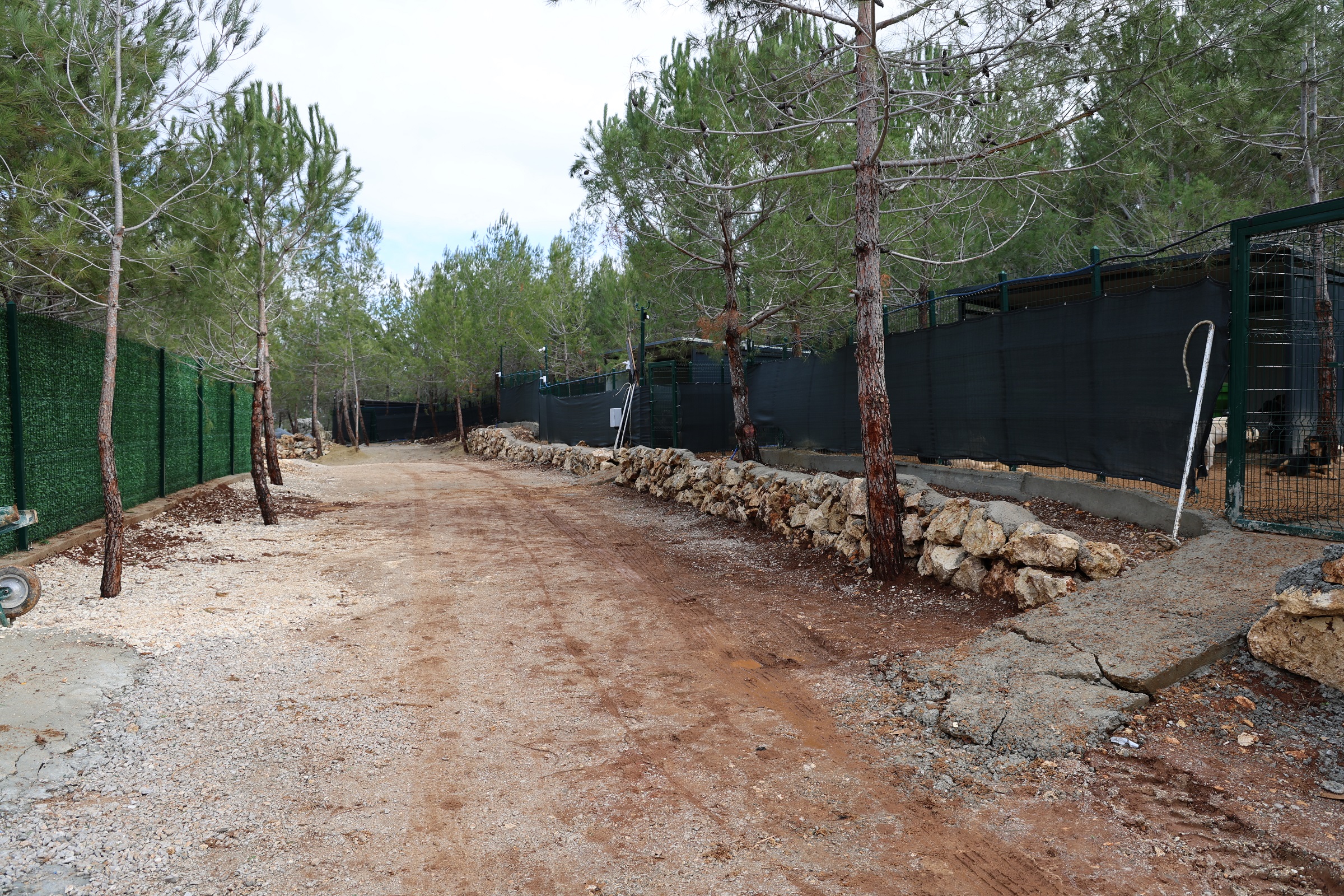 Doğal Yaşam Alanı (3)