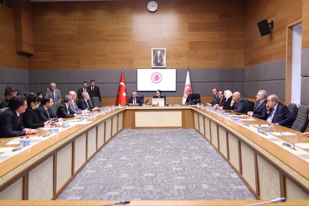 I N S A N H A K L A R I I N C E L E M E K O M I S Y O N U N D A K A T 1128115 334880