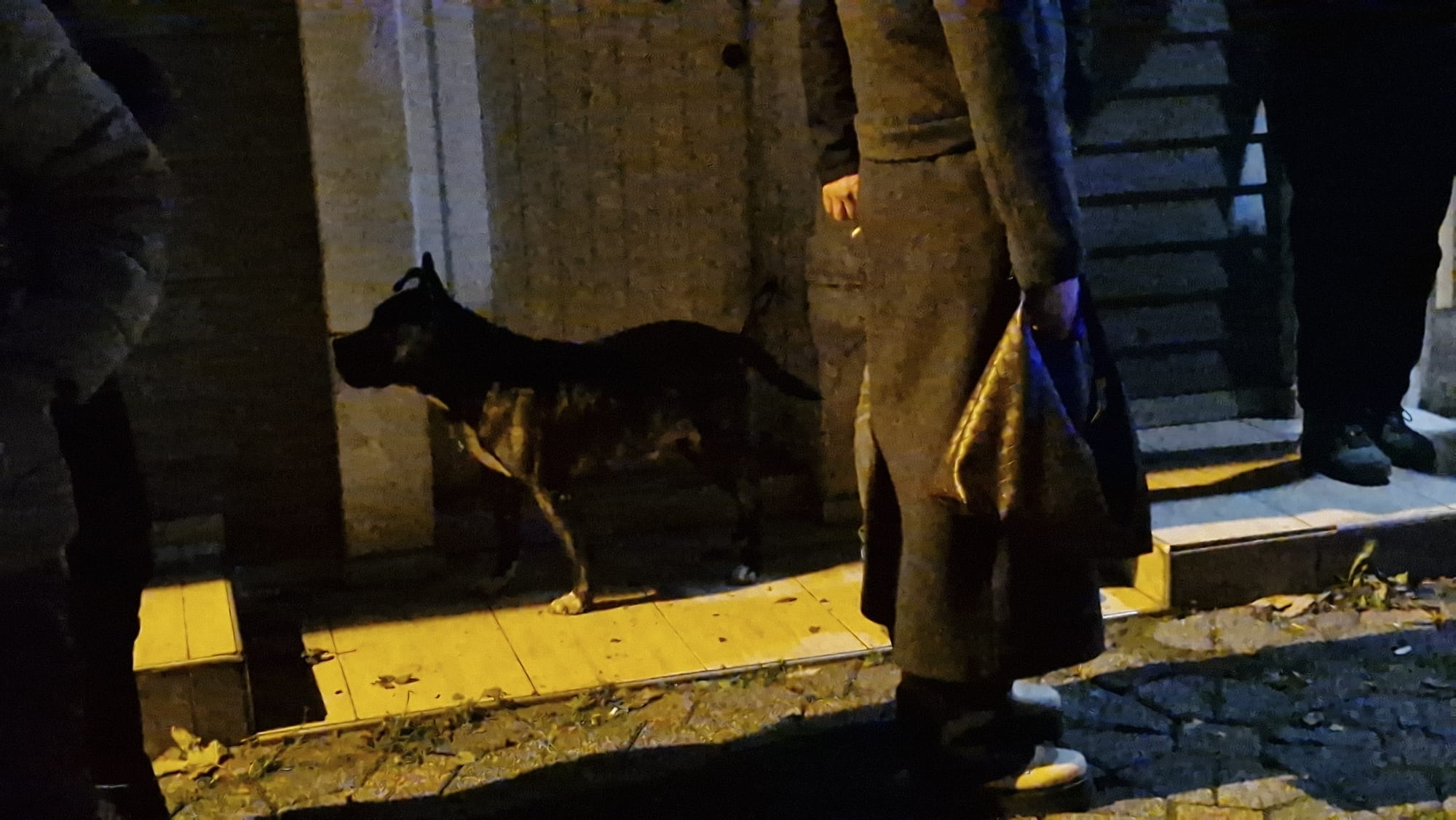 K E N D I S I N D E N H A B E R A L I N A M A Y A N C H P E S K I I L 1101237 326931