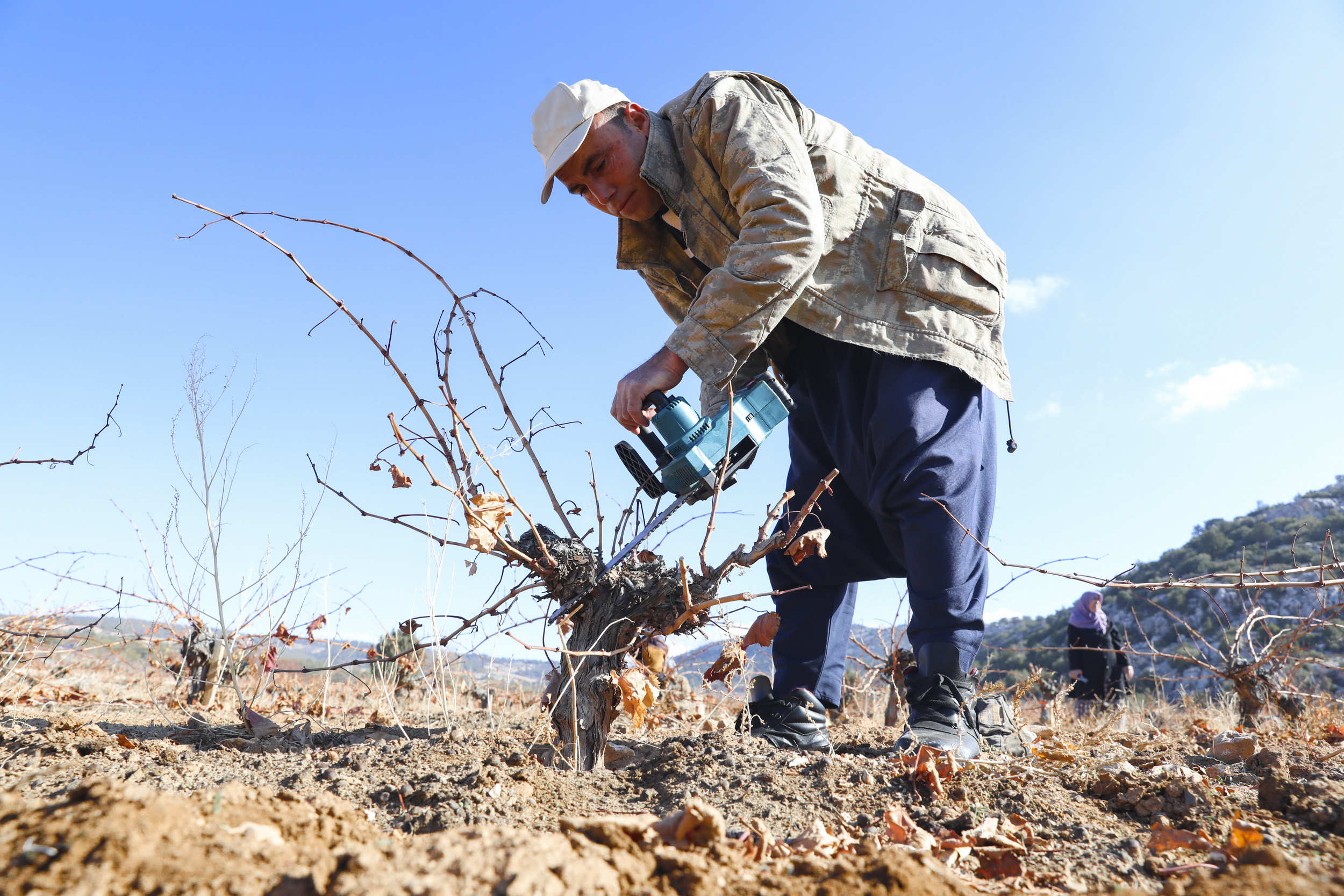 Organi̇k Tarim Mersi̇n Büyükşehi̇r İle Yayginlaşiyor (3)