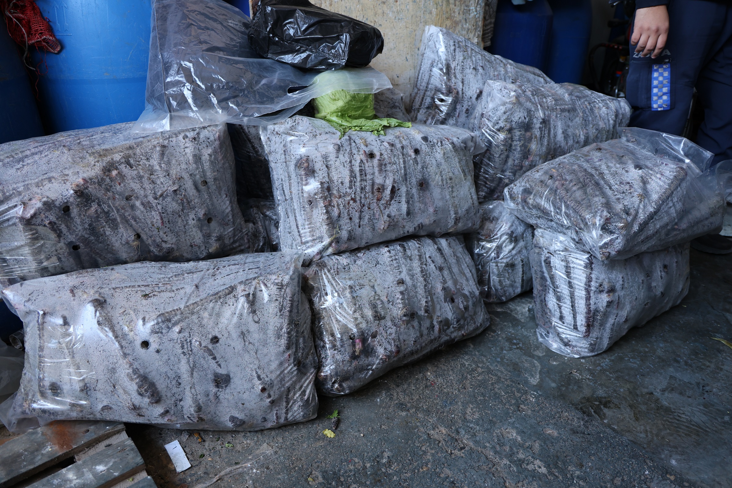 Şalgam Imalathenesi Mühürlendi (1)