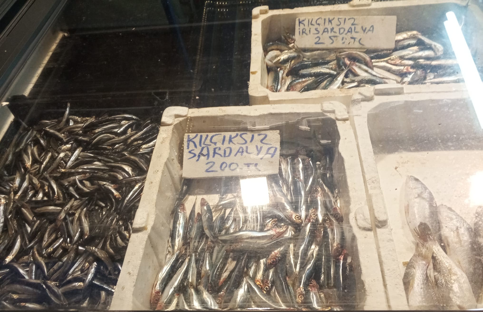 Whatsapp Image 2026 01 21 At 21.03.53