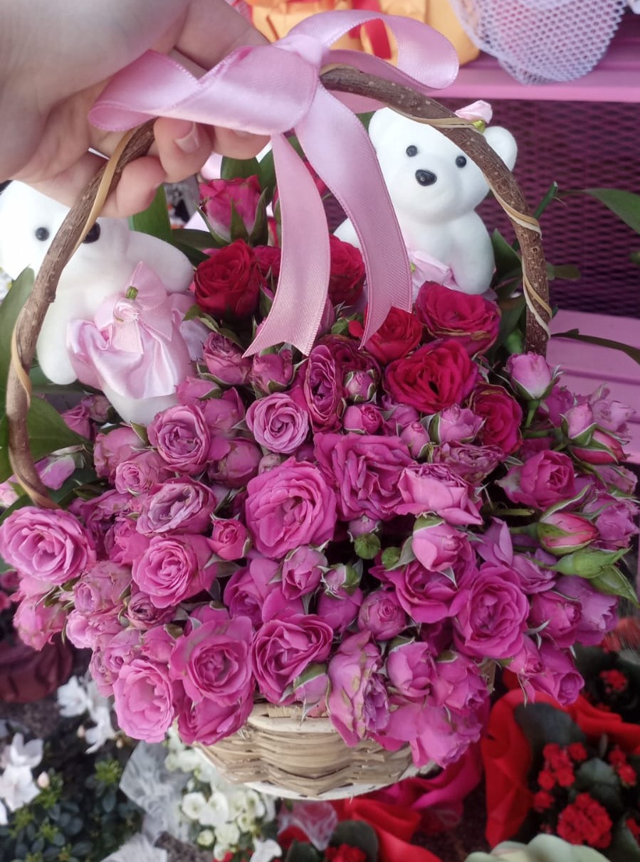 Whatsapp Image 2026 01 31 At 14.00.57