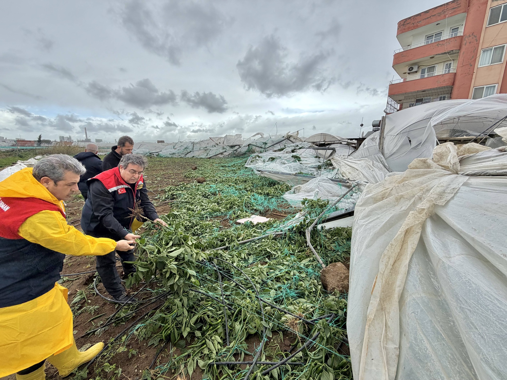 636364288 1380152804153761 4404452626104529349 N