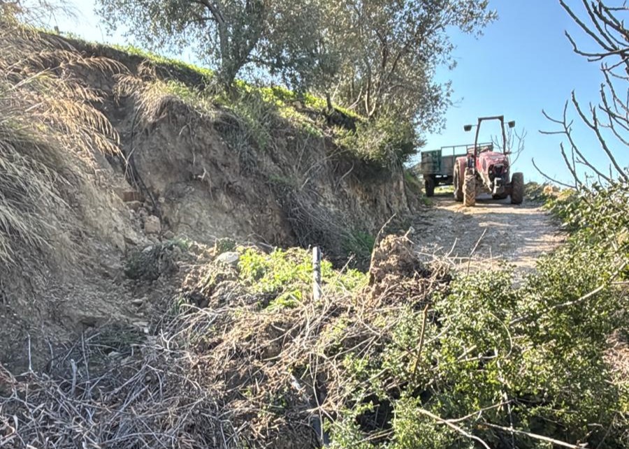 638028290 122174671808775113 5753538137133811074 N