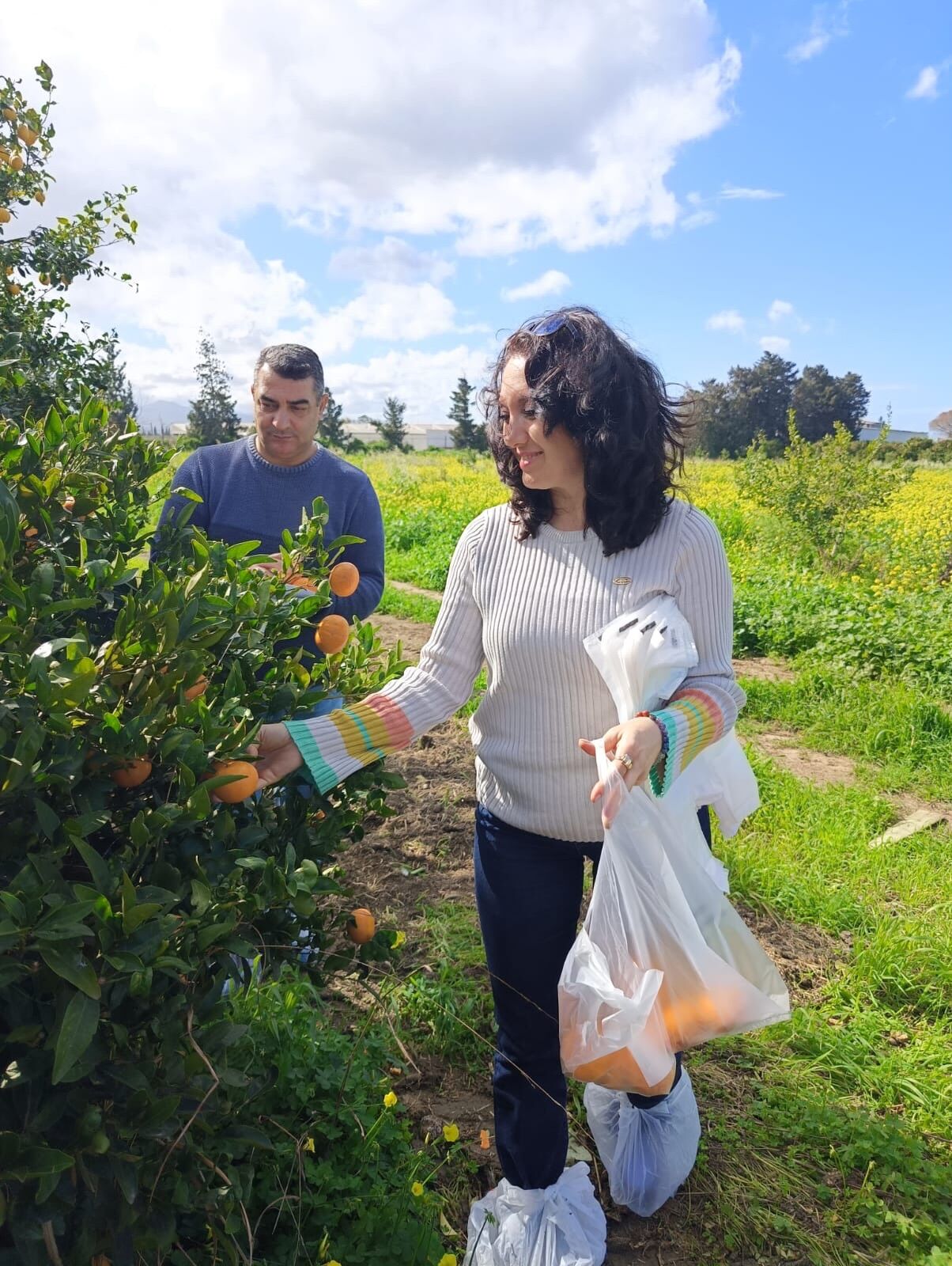 640054577 18060298547678588 49243932936633937 N