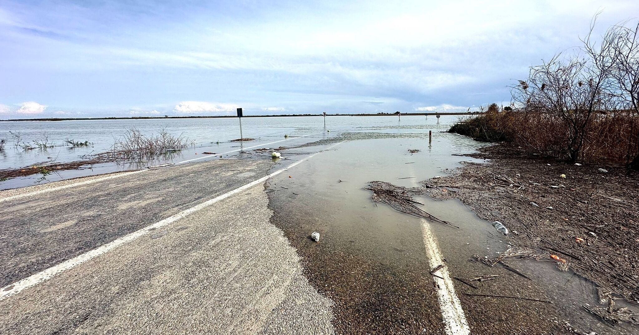 641686859 1384662883702753 6703264765695094687 N