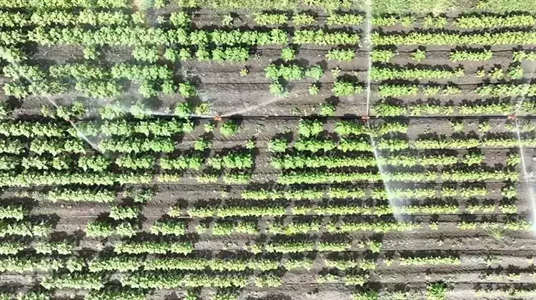 690864A3A054E9E8B2047541 (1)