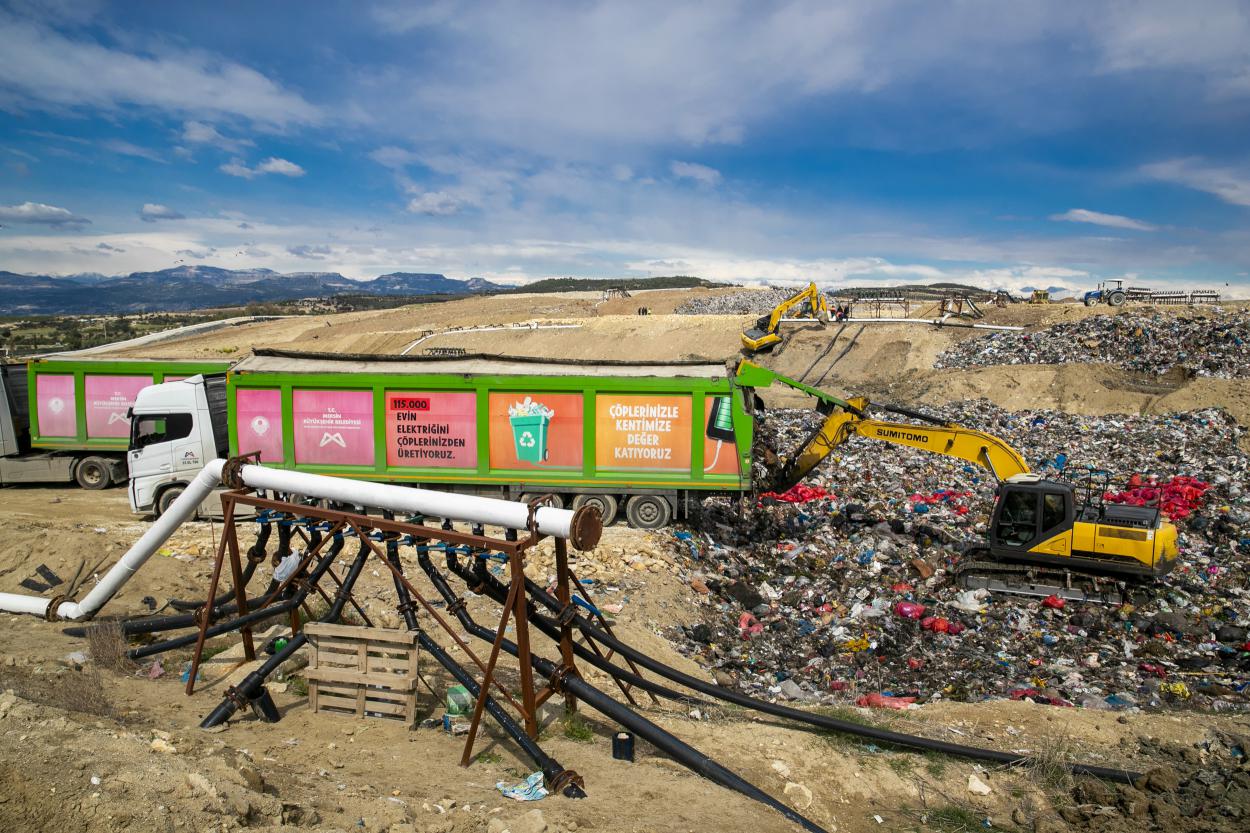 72408520260219090546