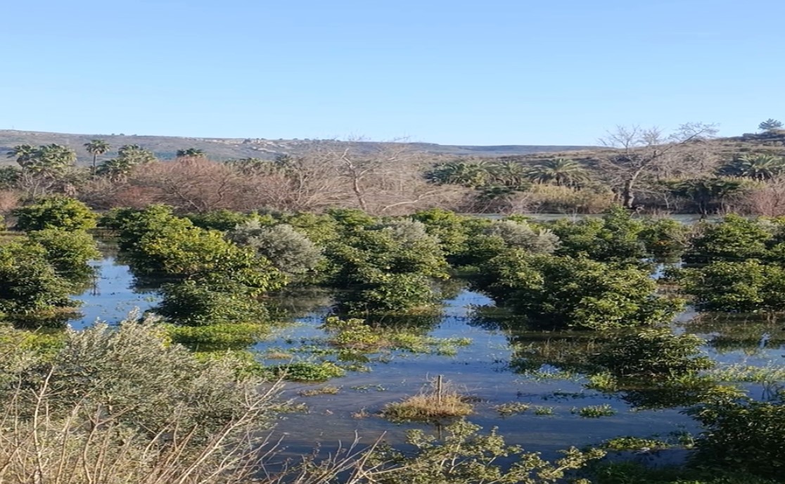 Ekran Görüntüsü 2026 02 05 111443