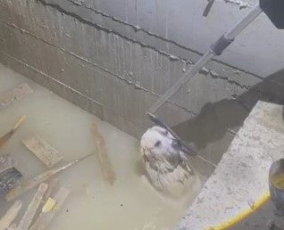 Ekran Görüntüsü 2026 02 17 105548