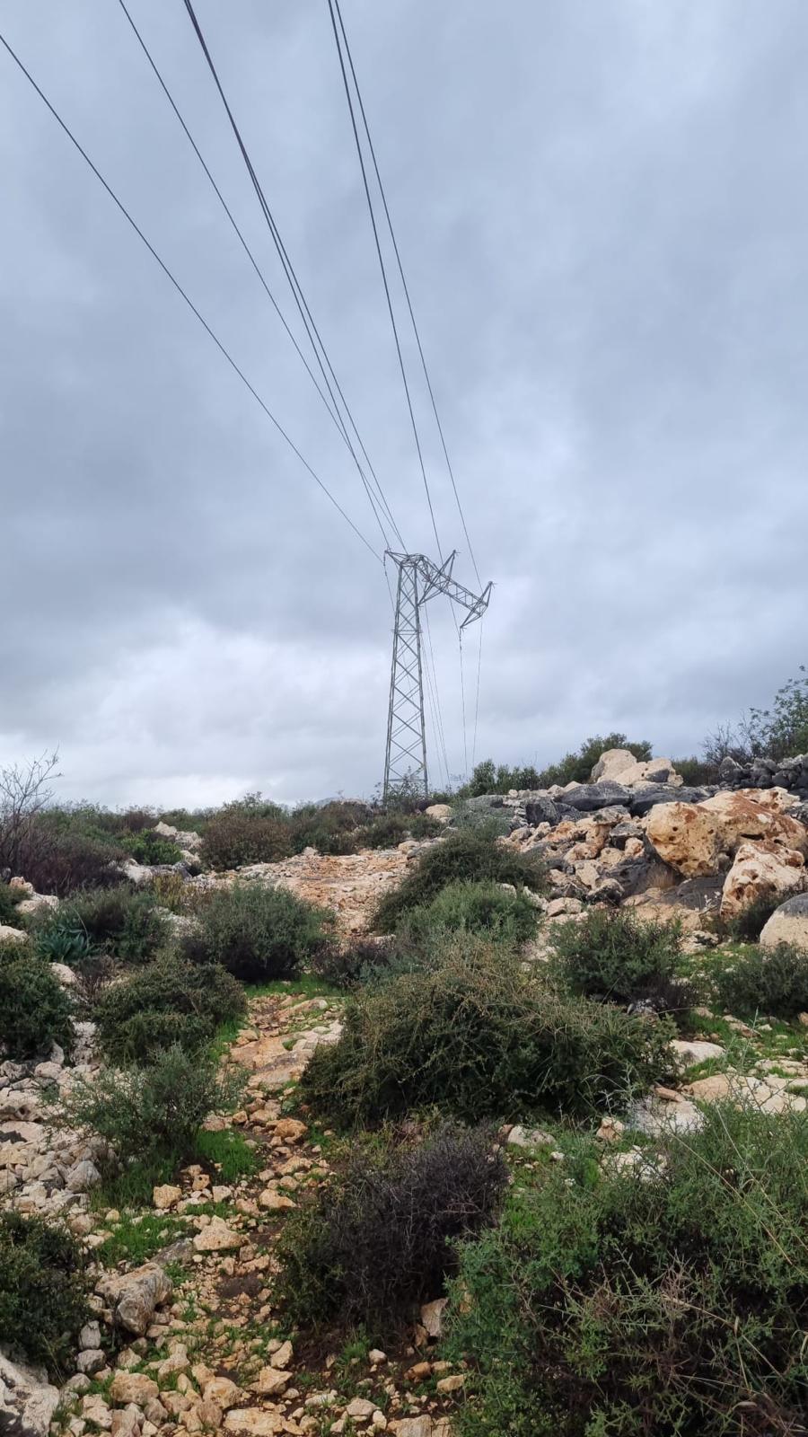 F2923465 9428 4D75 Ae6A 95726A94E1Dc (1)