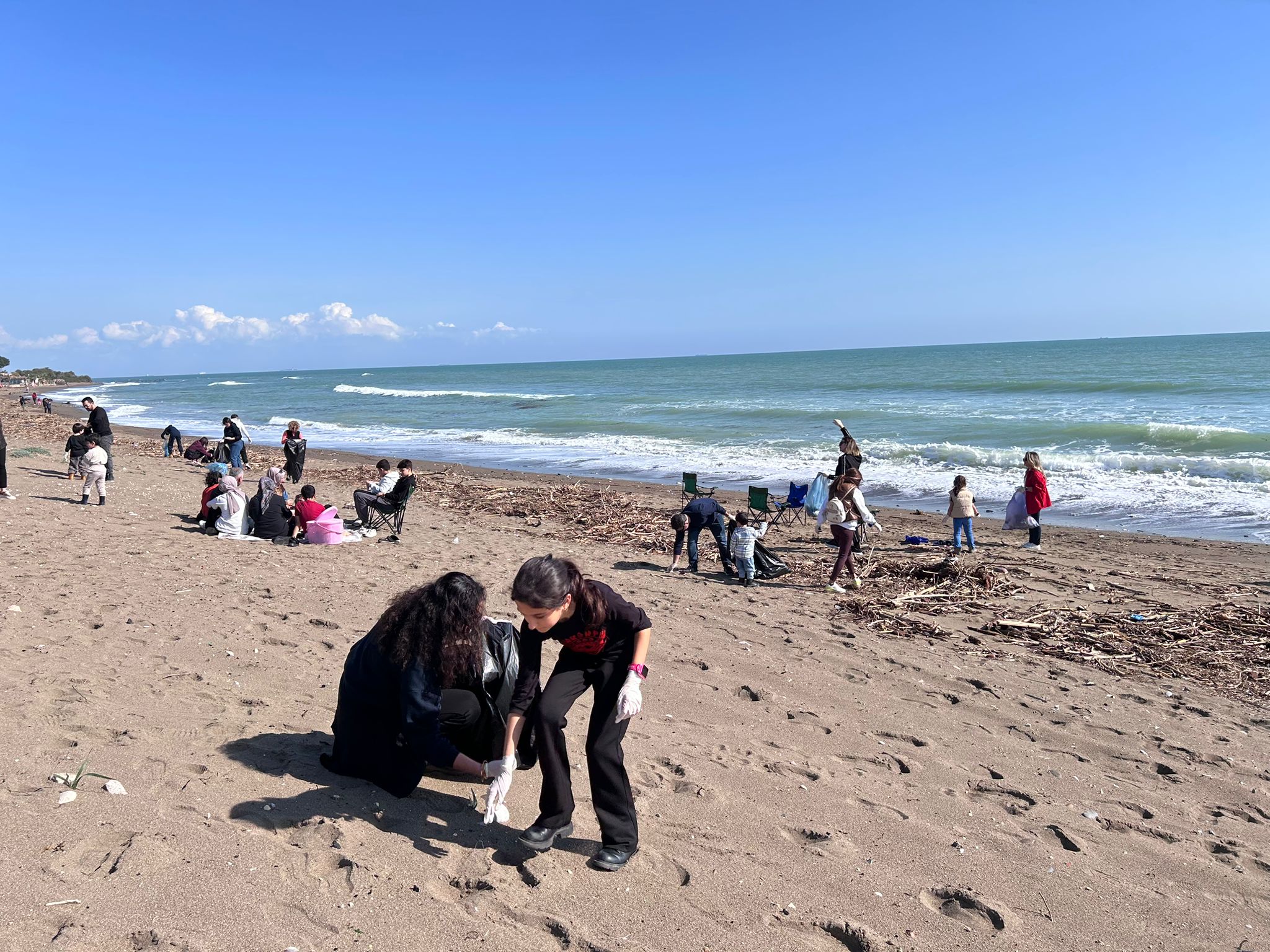 Whatsapp Image 2026 02 15 At 17.53.06