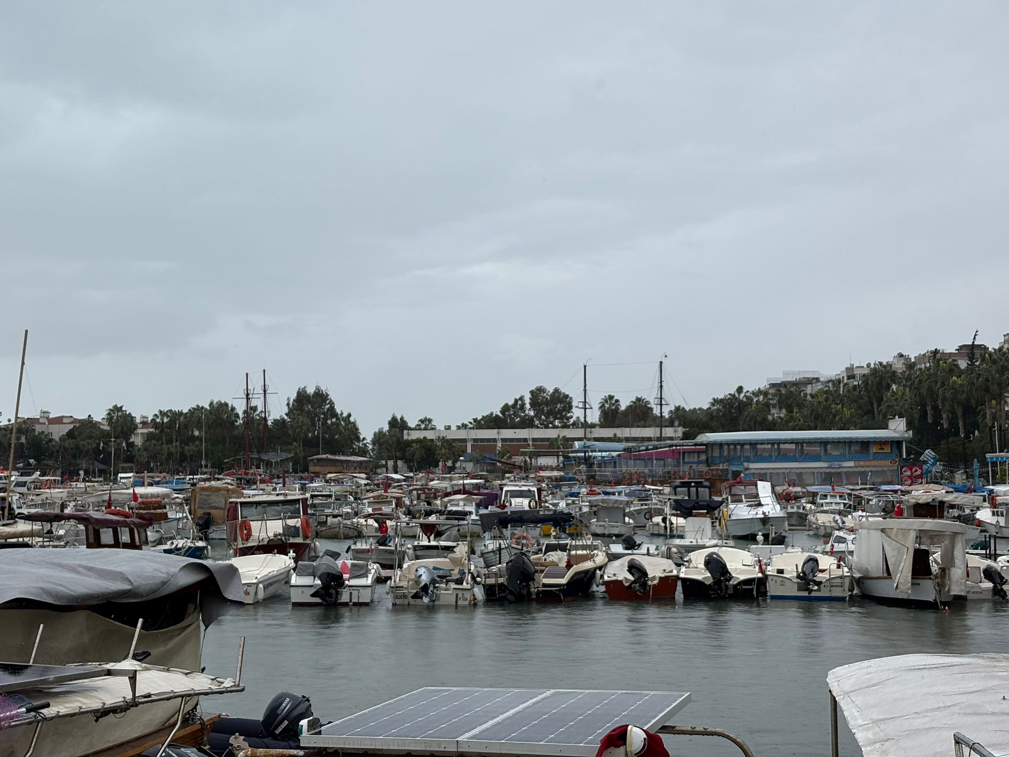 Whatsapp Image 2026 02 18 At 11.24.16