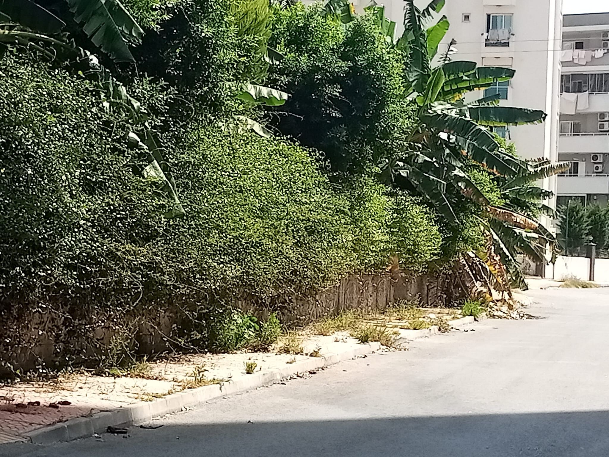 491514945 3865368276942884 4934843020304063126 N