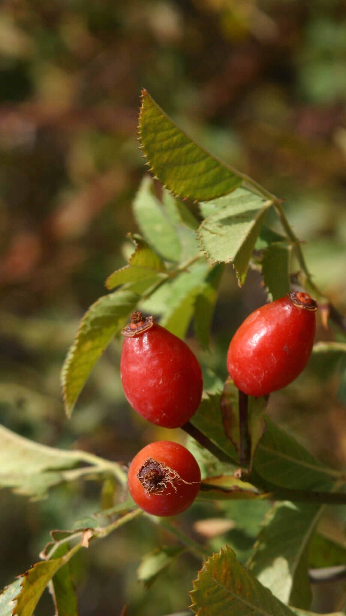 503C20Ad 5918 40Bc 8308 3F4Cce73Ca59