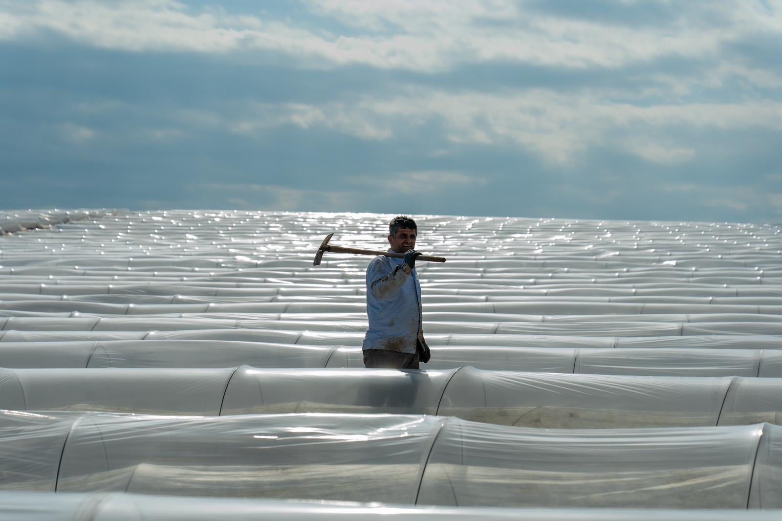 646218142 2072112606978142 6201963984856042248 N