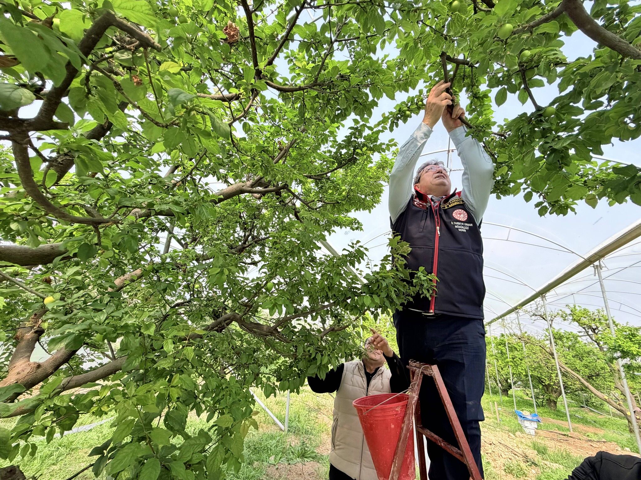 653047718 1403074818528226 4962479165446368587 N