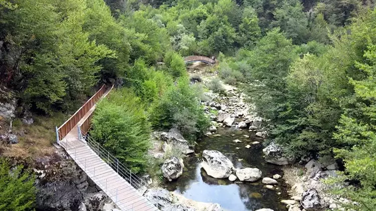 667Bcca3A07C05B0Cb9Ed411