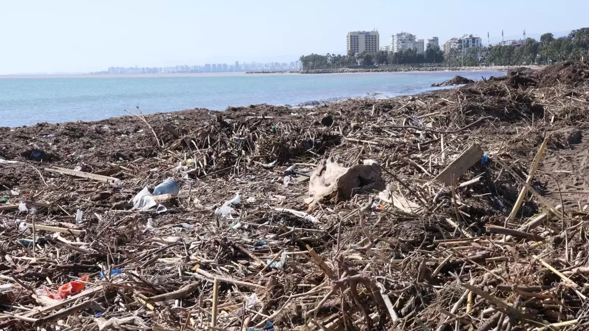 699Ab14Cb71A70Ac9D9Eda34