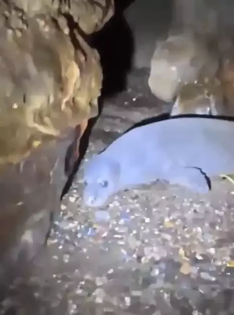 69B1119F8C3F68B010B677B4