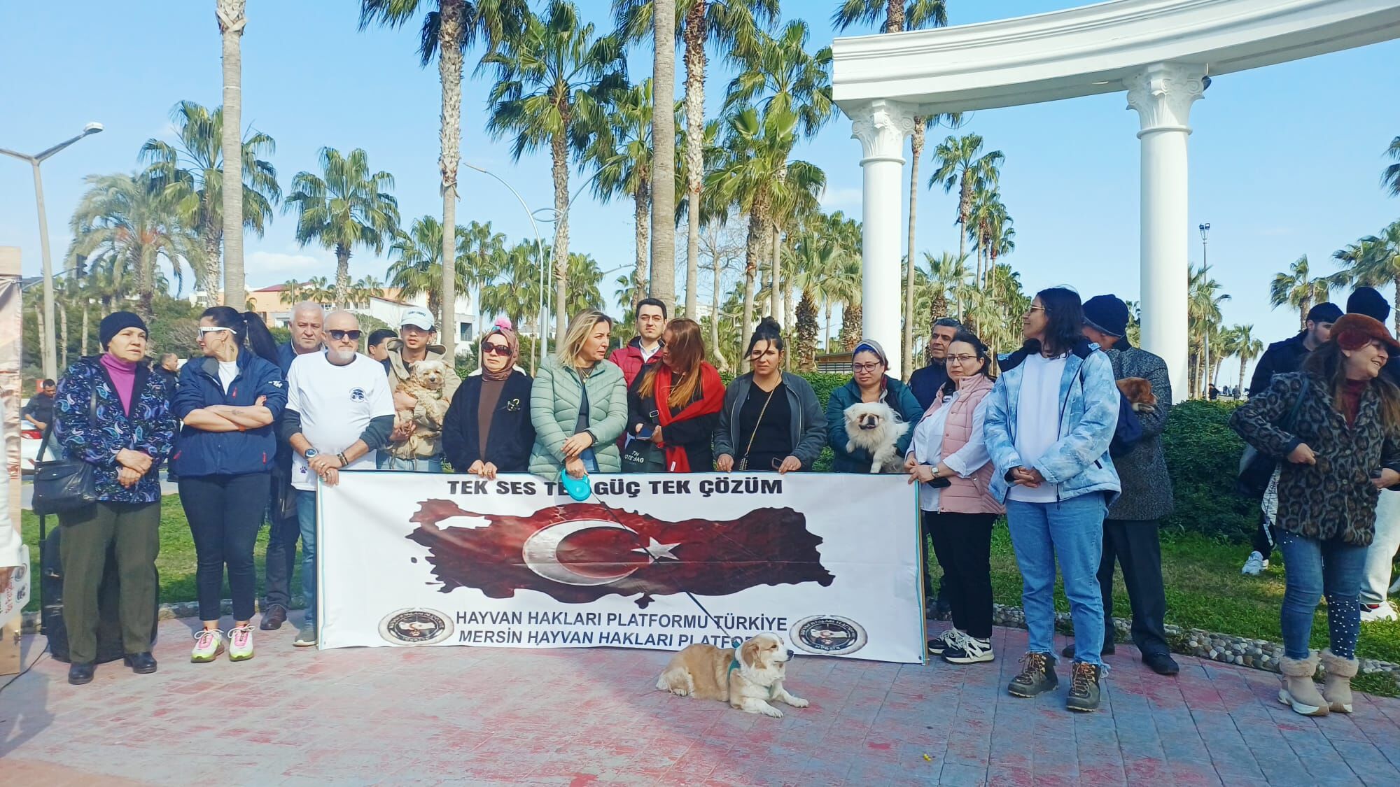 9552Dd02 0698 4F2C 9220 09046D7214A5