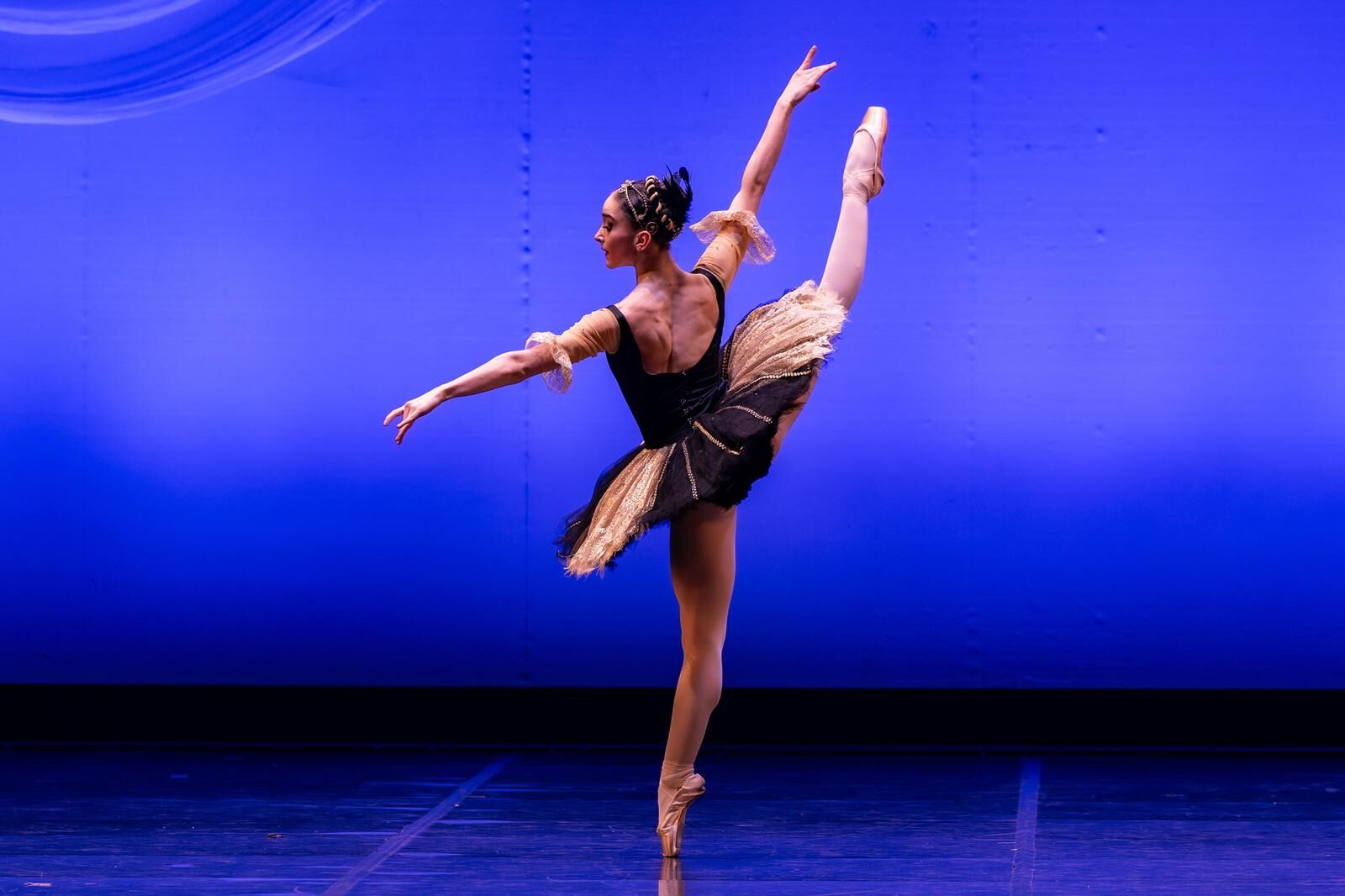 B A L E R I N D O G A D E N I Z E F R A N S A D A 1 I N C I L I 1222994 363632