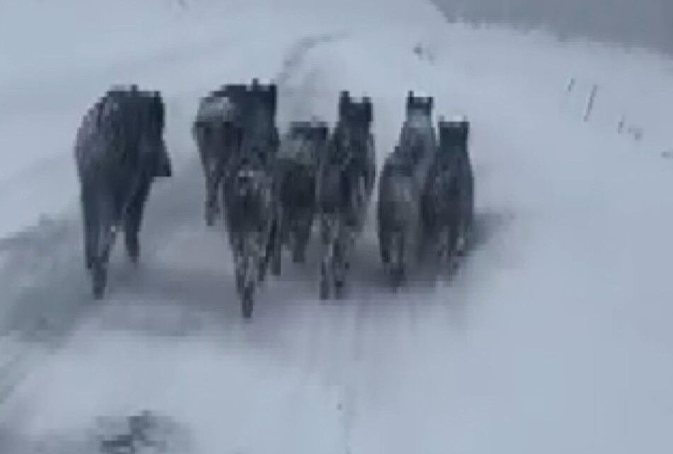 Ekran Görüntüsü 2026 03 05 095717