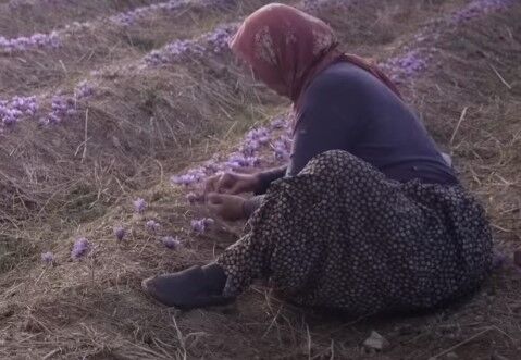 Ekran Görüntüsü 2026 03 25 151807