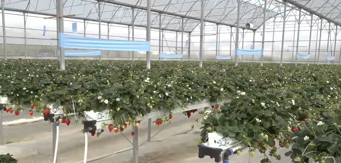 Ekran Görüntüsü 2026 03 25 164255