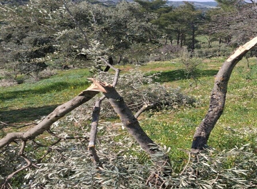 Ekran Görüntüsü 2026 03 26 162745