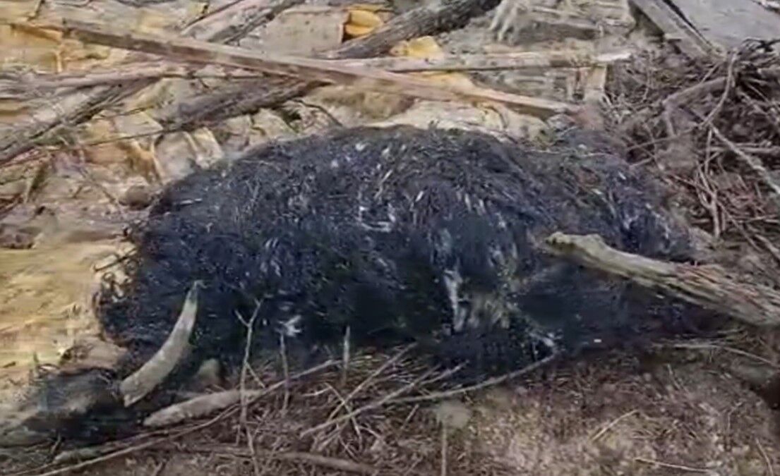 Ekran Görüntüsü 2026 03 27 140408