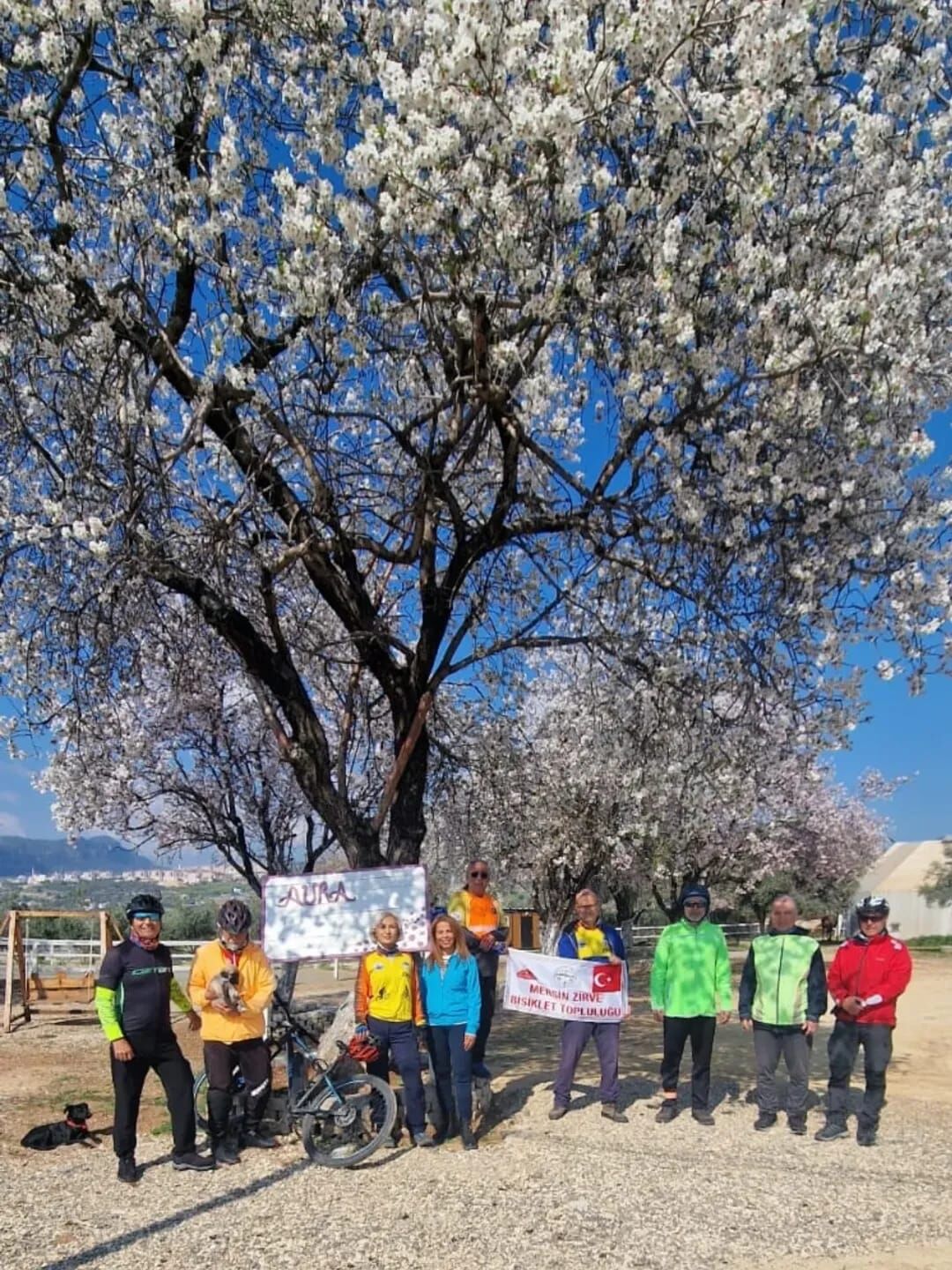 Whatsapp Image 2026 03 09 At 09.52.32 (5)-1