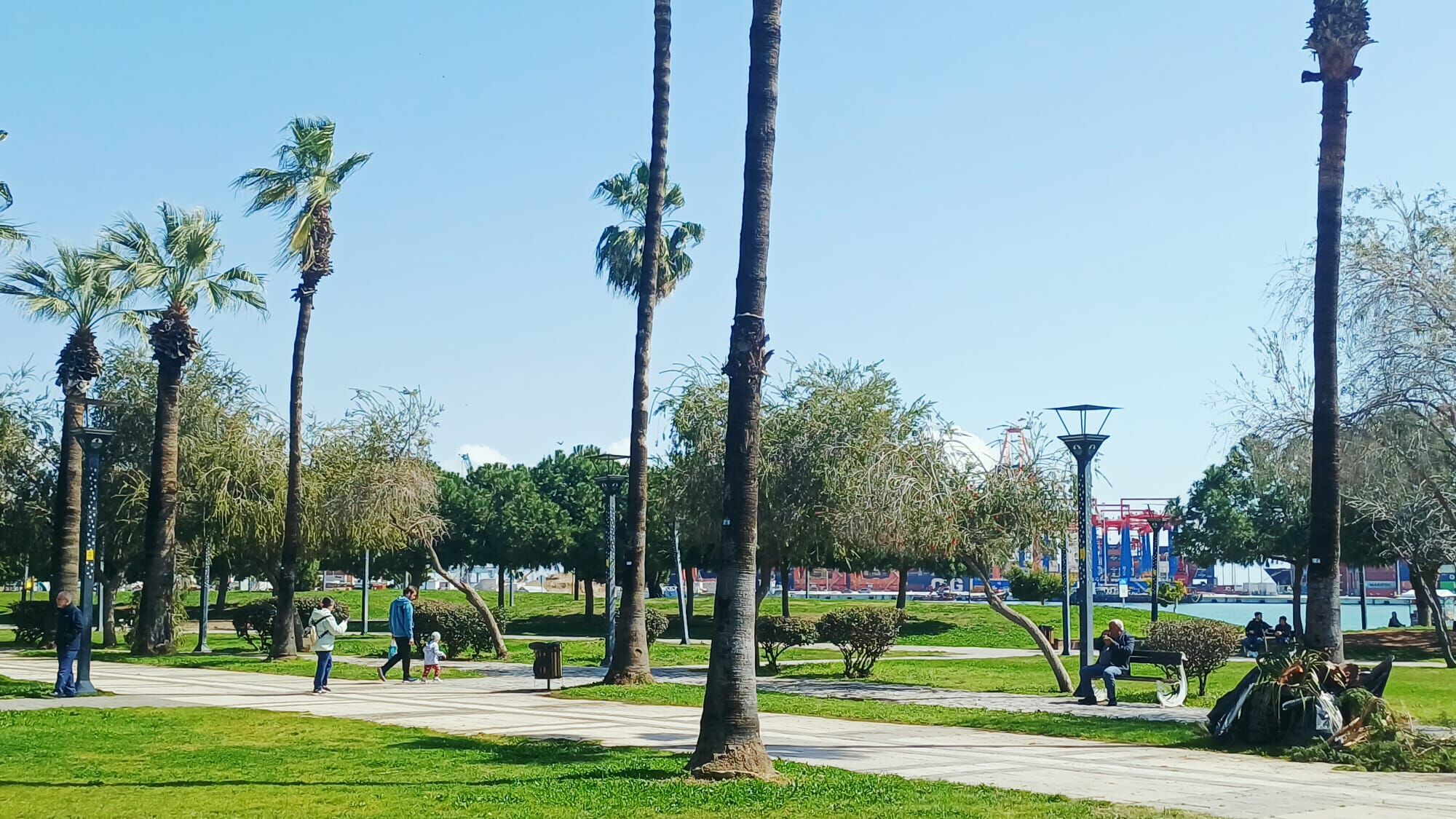 Whatsapp Image 2026 03 16 At 12.48.02