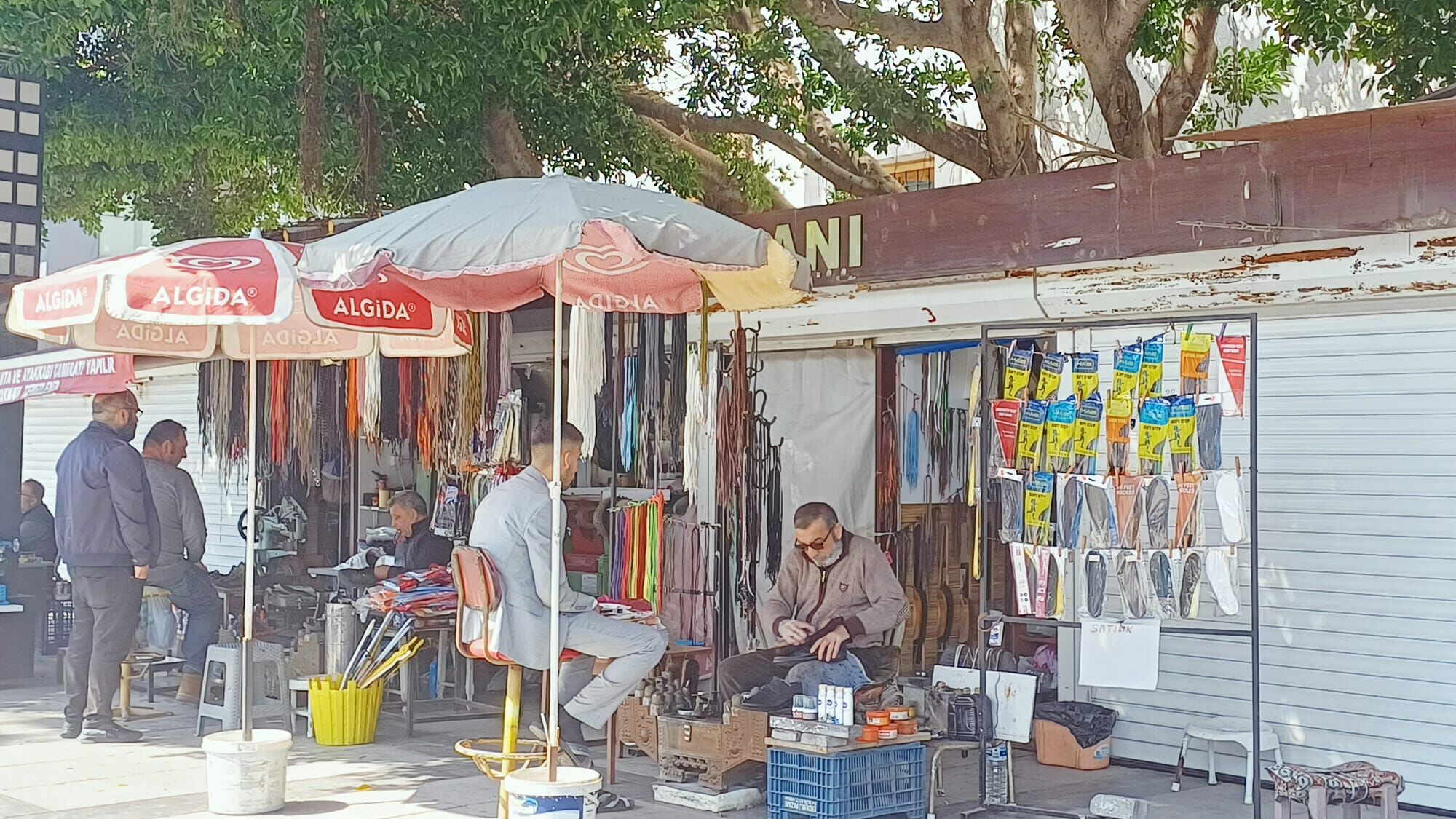 Whatsapp Image 2026 03 16 At 14.08.45