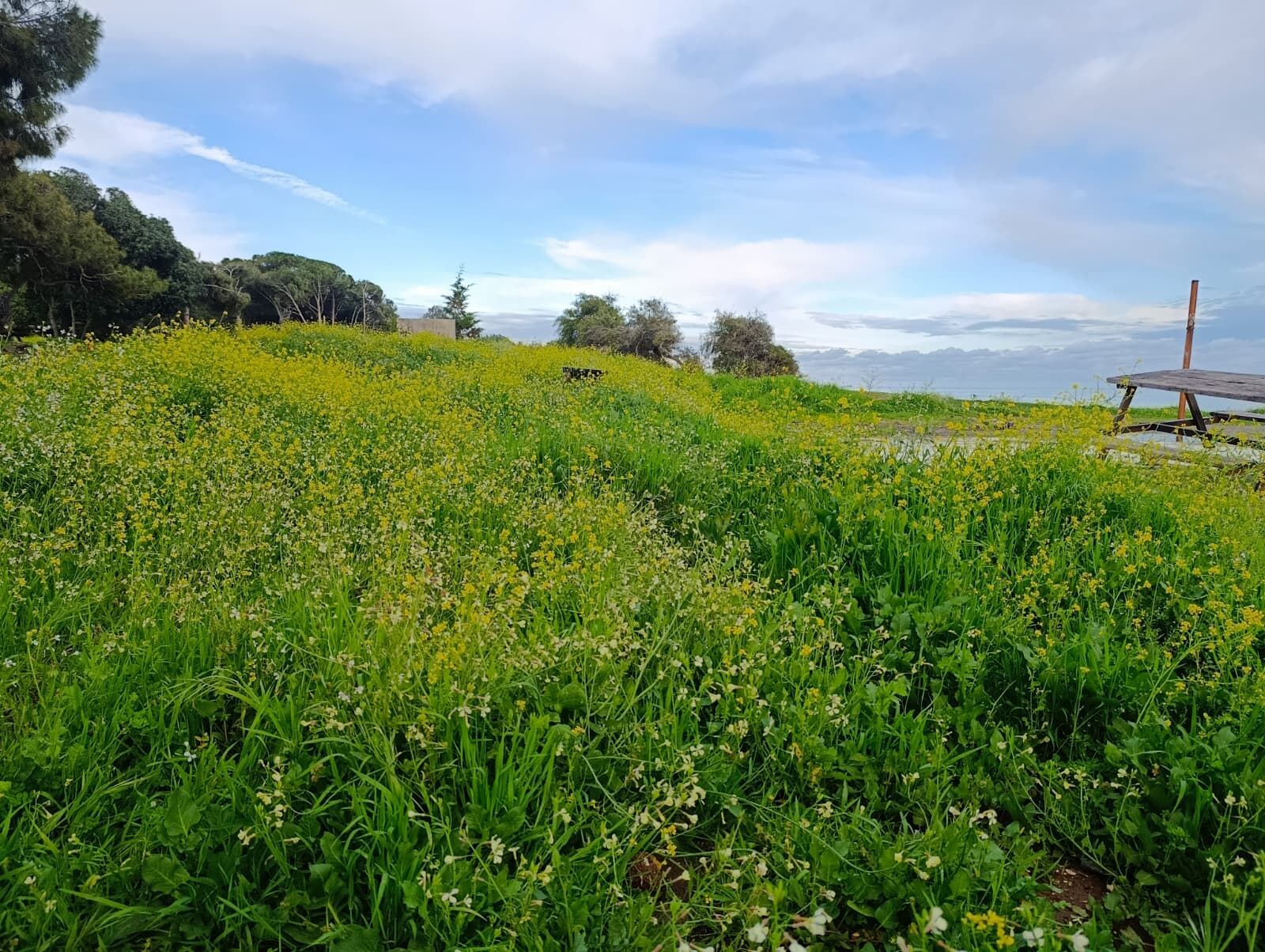 Whatsapp Image 2026 03 22 At 17.45.43