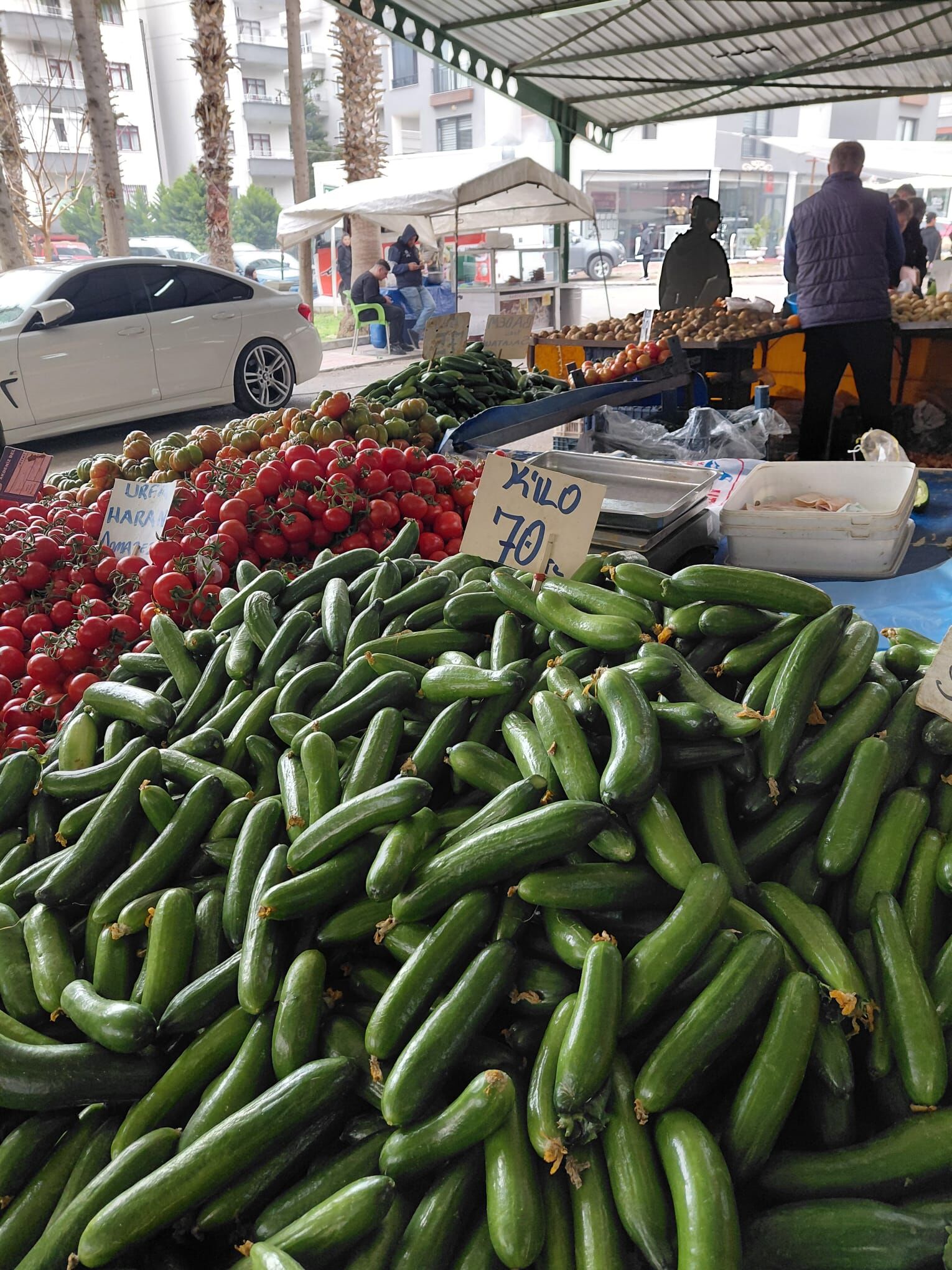 Whatsapp Image 2026 03 25 At 14.16.23 (1)