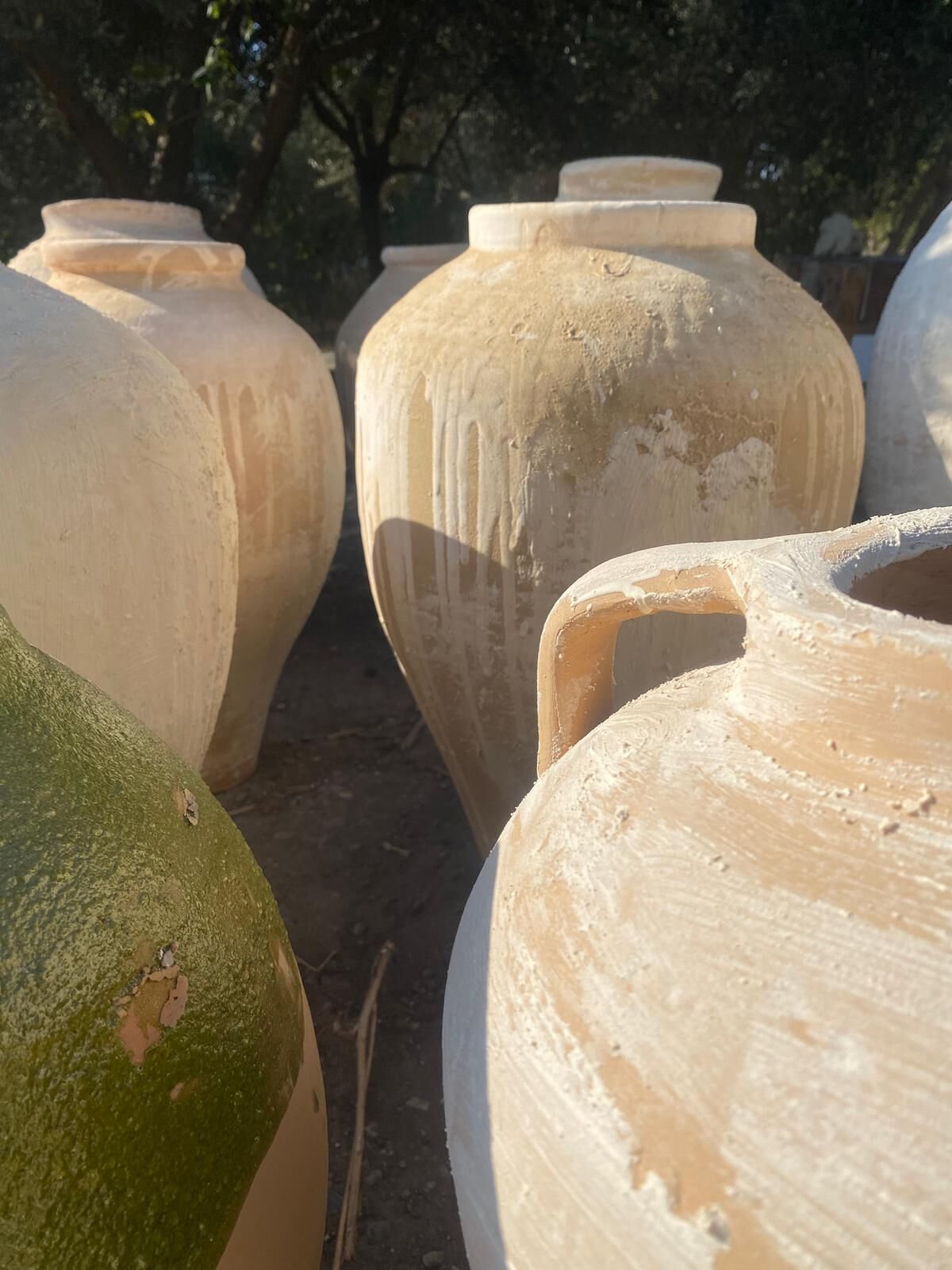 Whatsapp Image 2026 03 28 At 17.19.08