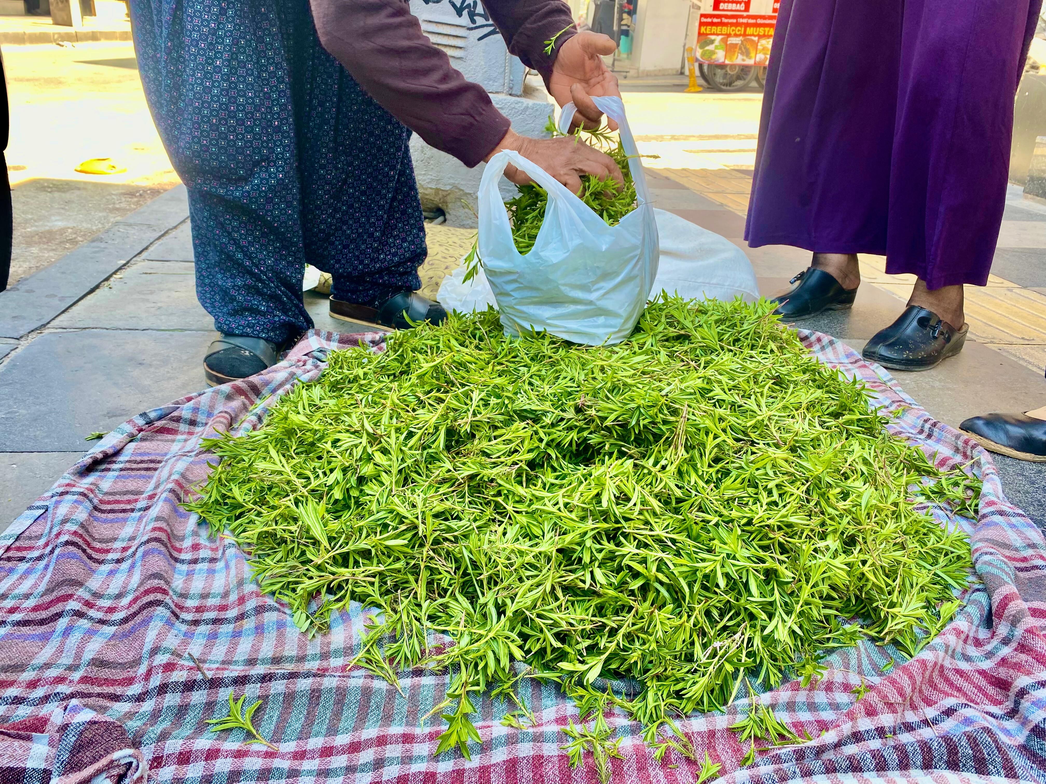 082B8767 Ac33 4042 Bfe0 58B36A43C966