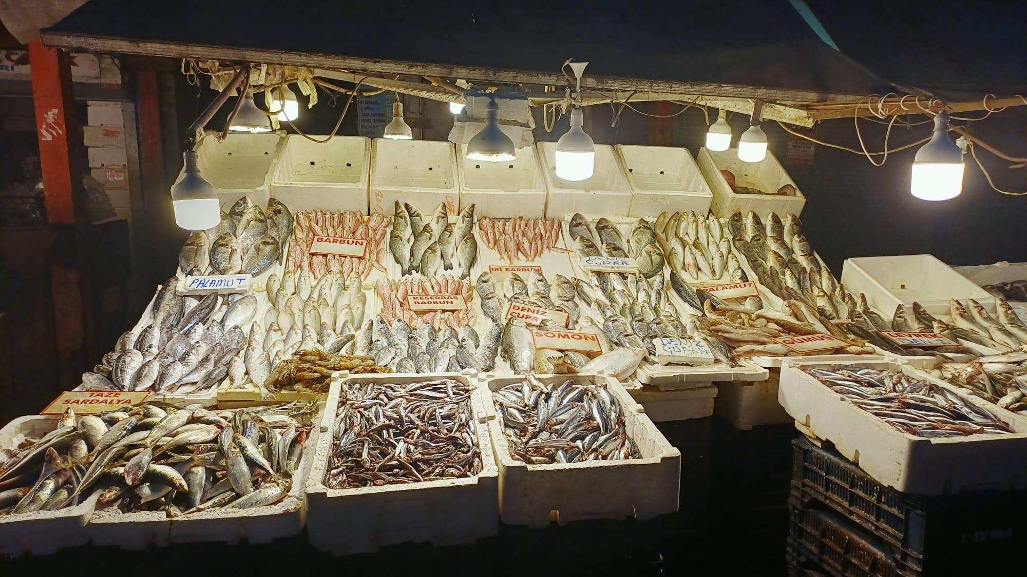 30Fe66B9 Aee2 489E 982E 8909Ef3815Aa