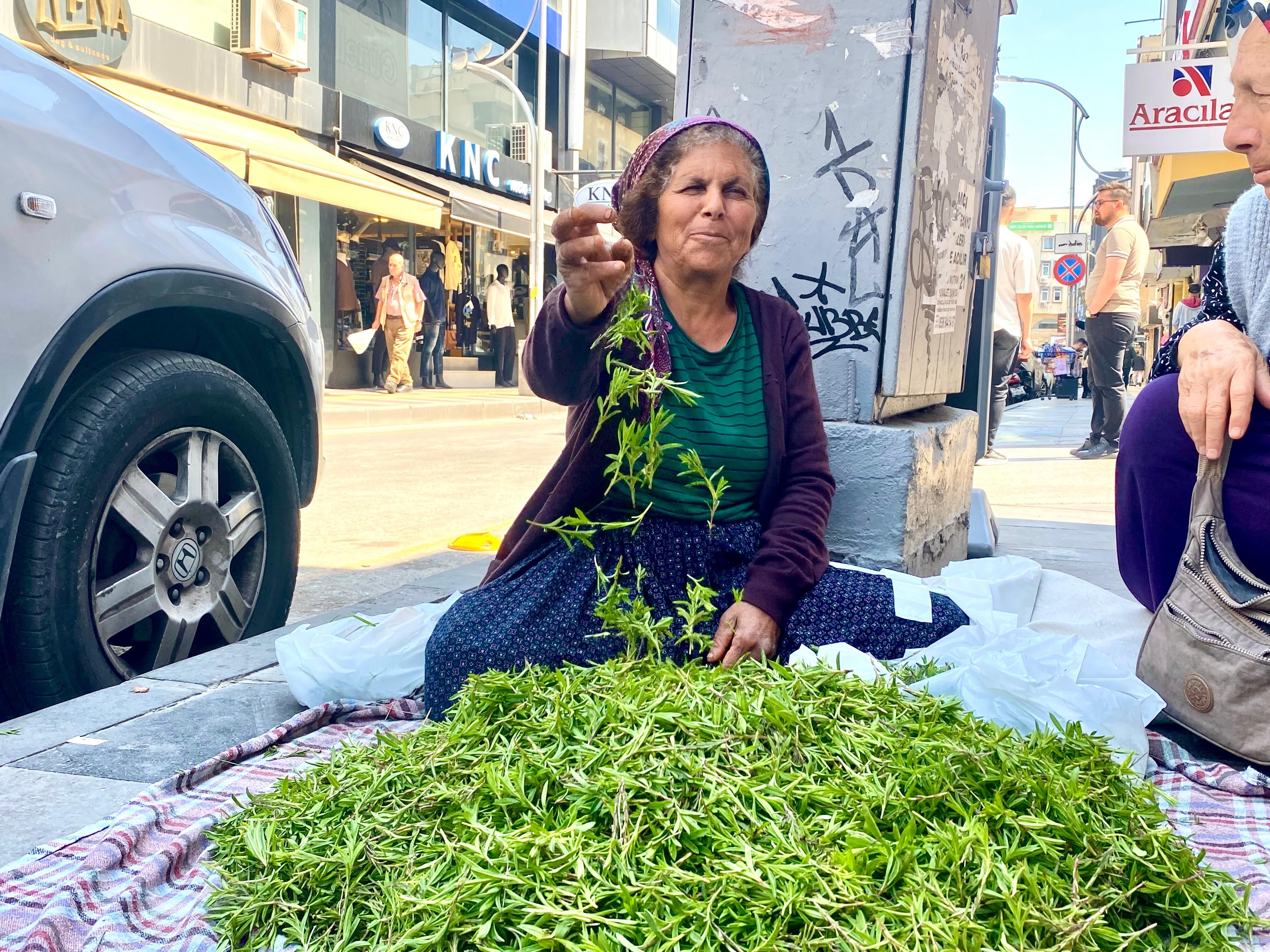 488E86Ee 081A 498F 9C84 44D519874D2B