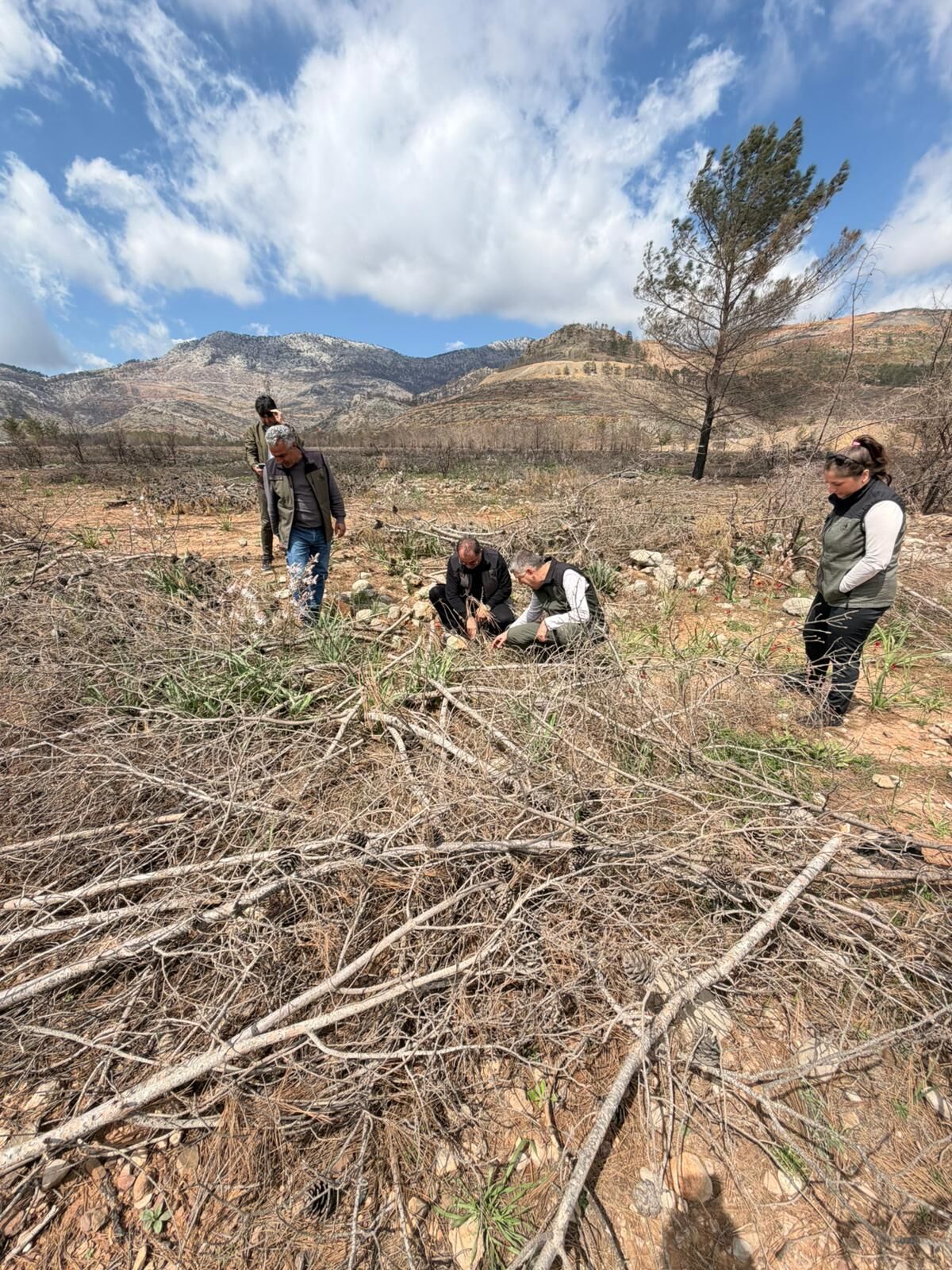 670703733 2259277121548918 1653224694054038887 N