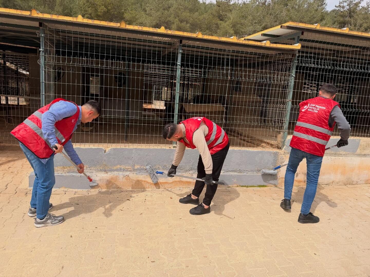 670896206 18523482139078358 1285316829986980183 N